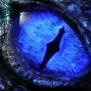 Meet your Posher, Kurtis